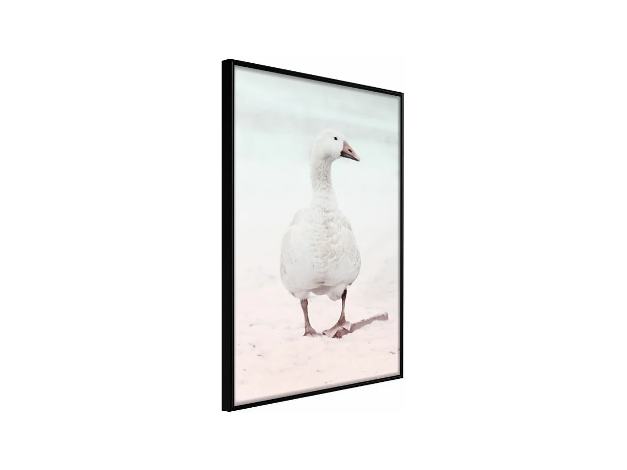 Affiche Murale Encadrée "Walking Goose" 21 x 30 cm Noir