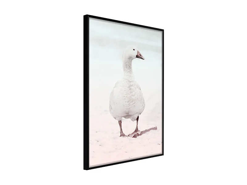Affiche Murale Encadrée "Walking Goose" 21 x 30 cm Noir