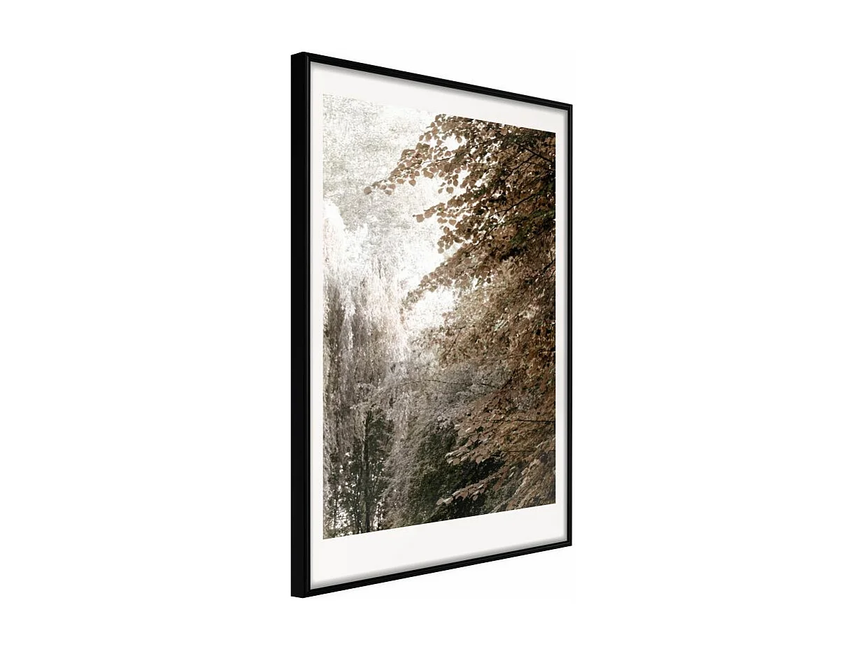 Affiche Murale Encadrée "Pond in the Park" 30 x 42 cm Noir