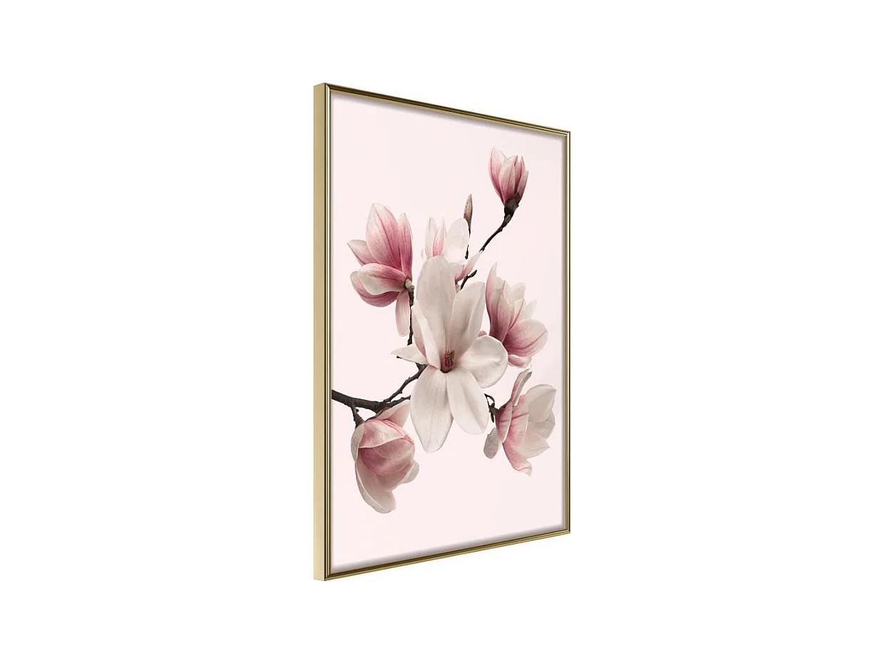 Affiche Murale Encadrée "Blooming Magnolias I" 40 x 60 cm Or