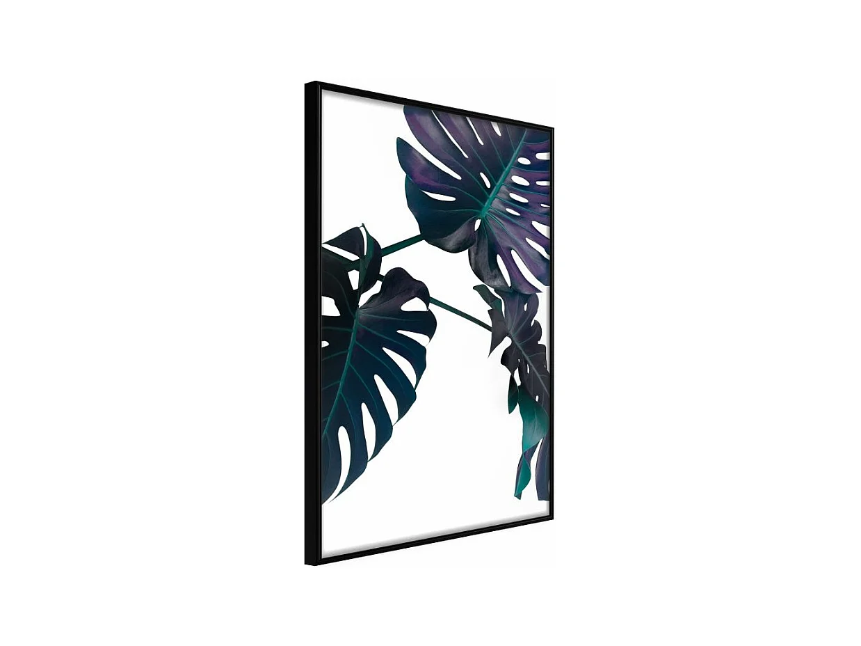 Affiche Murale Encadrée "Evergreen Monstera" 40 x 60 cm Noir