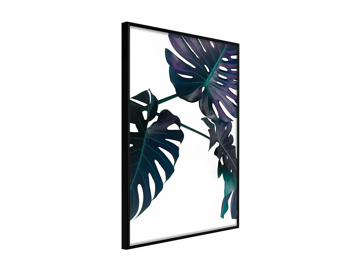Affiche Murale Encadrée "Evergreen Monstera" 40 x 60 cm Noir