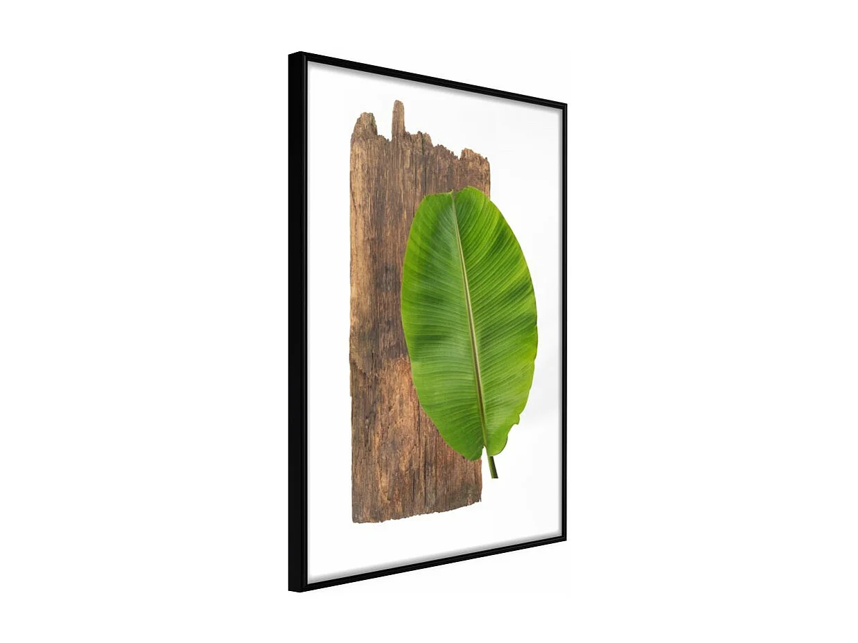 Affiche Murale Encadrée "Forest Nature" 21 x 30 cm Noir