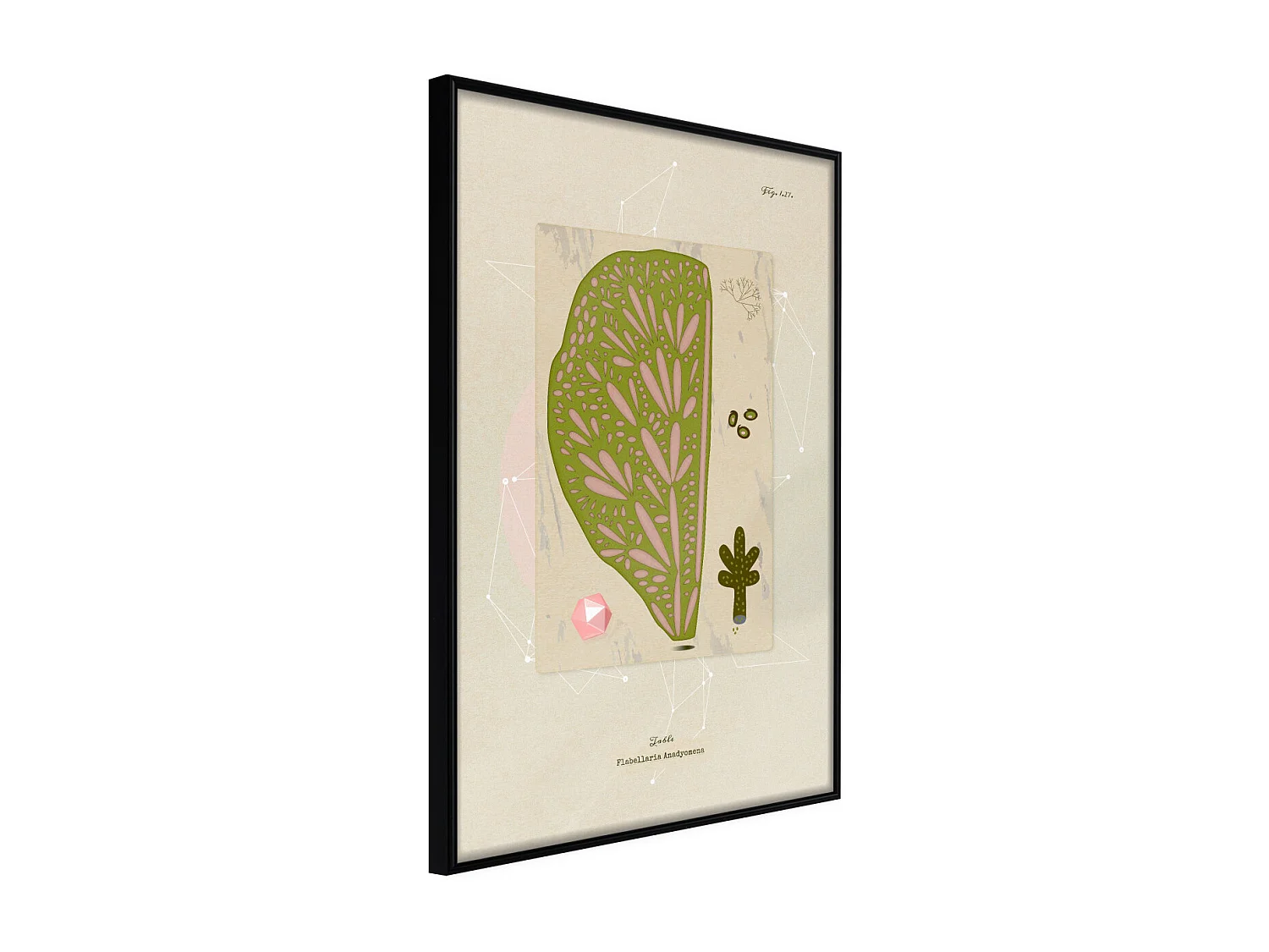 Affiche Murale Encadrée "Cross Section of a Leaf" 21 x 30 cm Noir