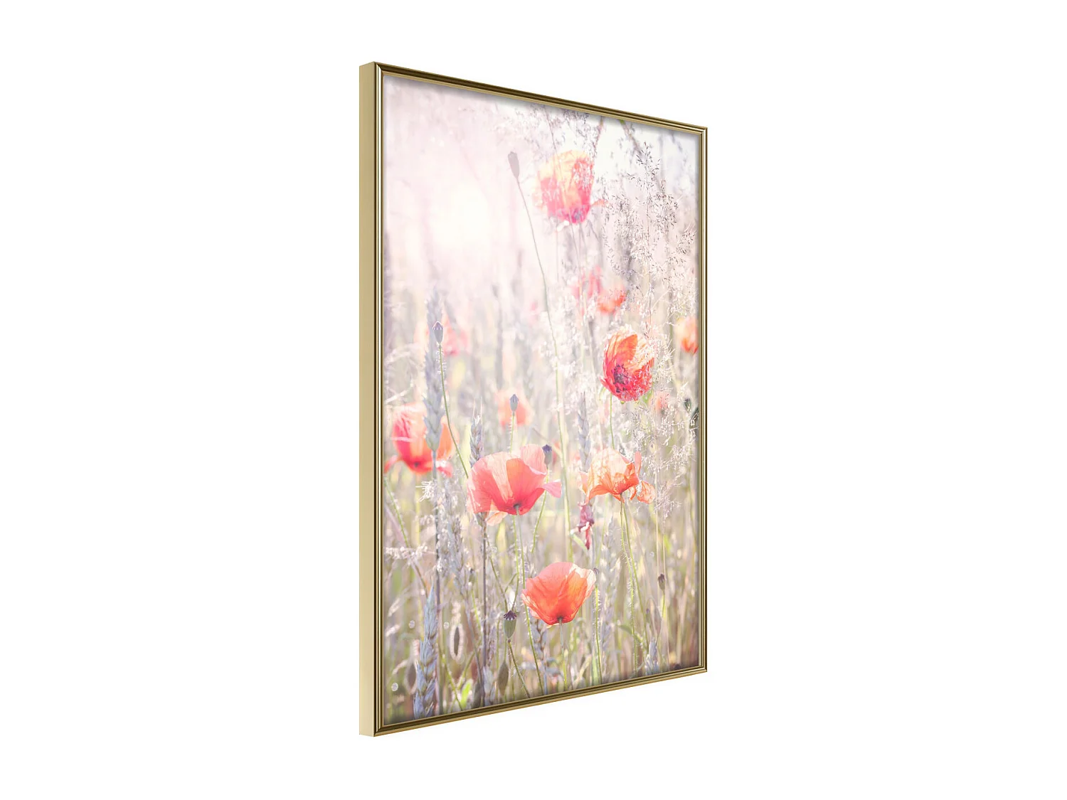 Affiche Murale Encadrée "Poppies" 30 x 42 cm Or