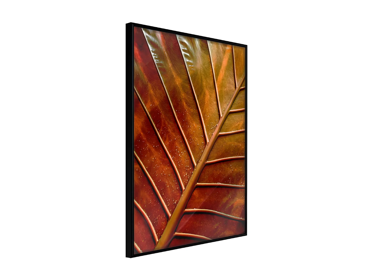 Affiche Murale Encadrée "Bronze Leaf" 30 x 42 cm Noir