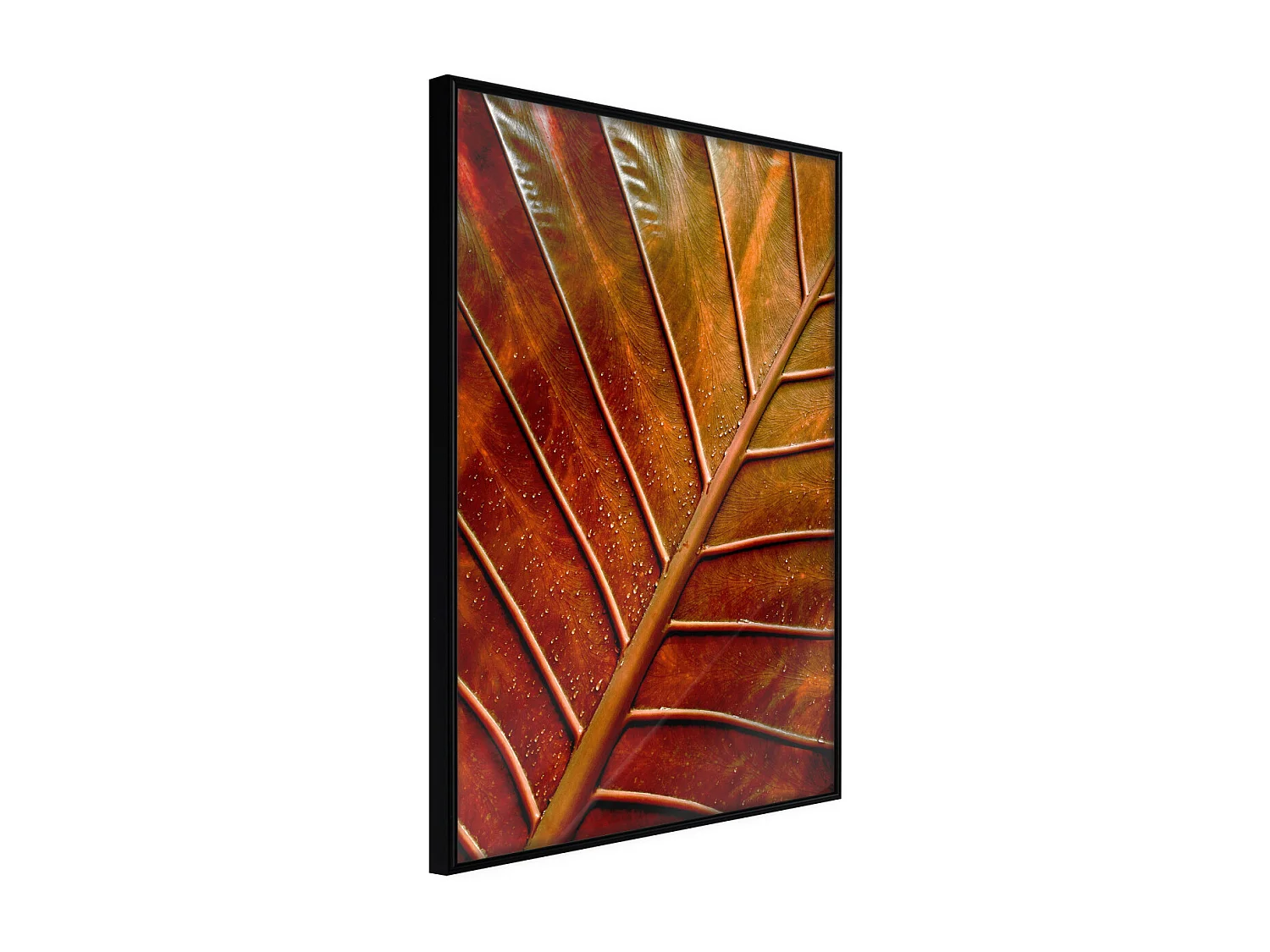 Affiche Murale Encadrée "Bronze Leaf" 30 x 42 cm Noir