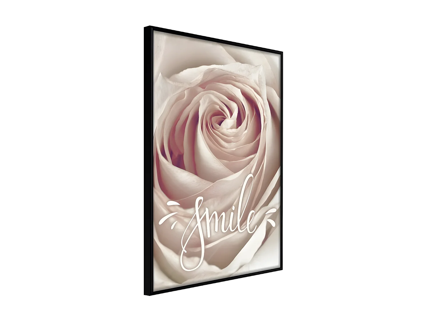Affiche Murale Encadrée "Rose with a Message " 21 x 30 cm Noir