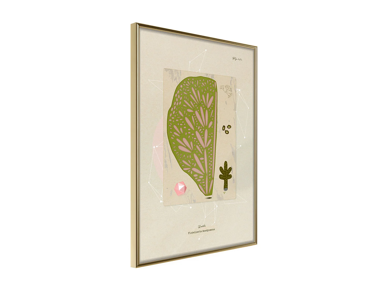 Affiche Murale Encadrée "Cross Section of a Leaf" 40 x 60 cm Or