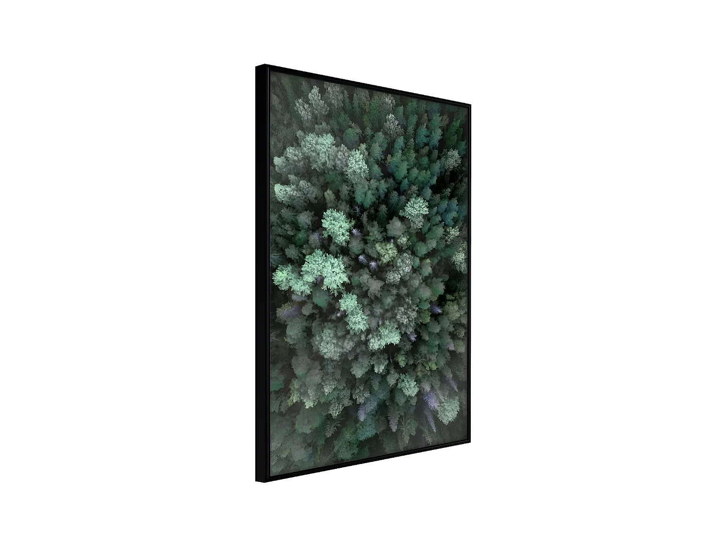 Affiche Murale Encadrée "World form High Above" 40 x 60 cm Noir