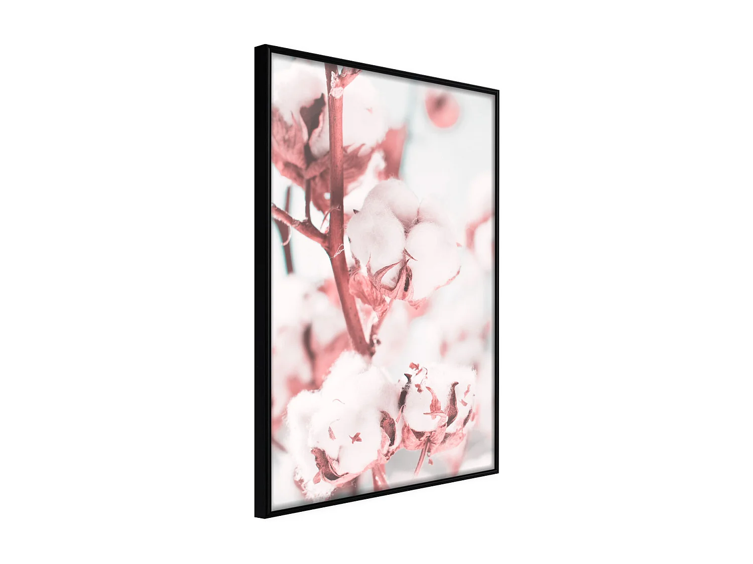 Affiche Murale Encadrée "Cotton Flowers" 30 x 42 cm Noir