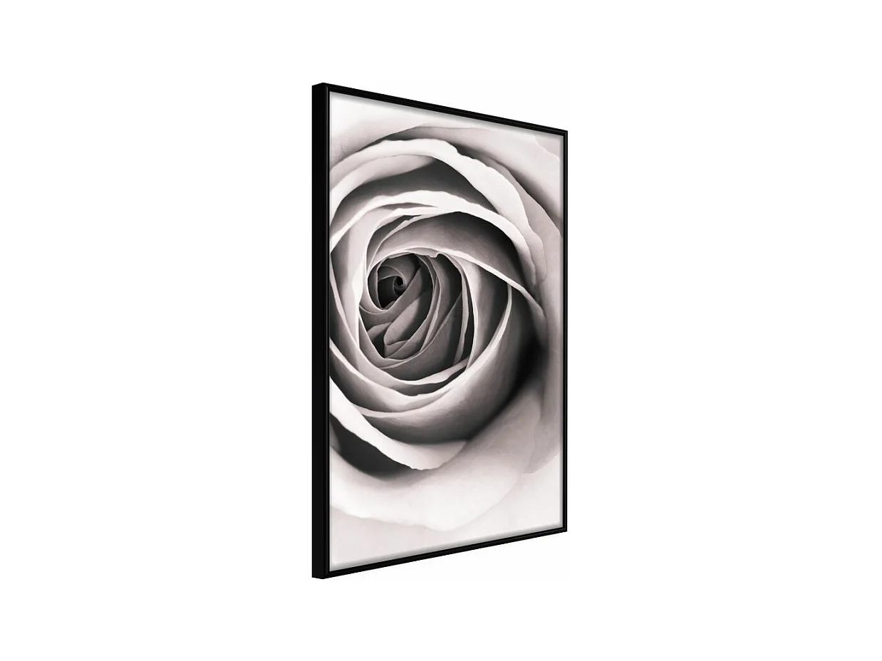 Affiche Murale Encadrée "Structure of Petals" 21 x 30 cm Noir