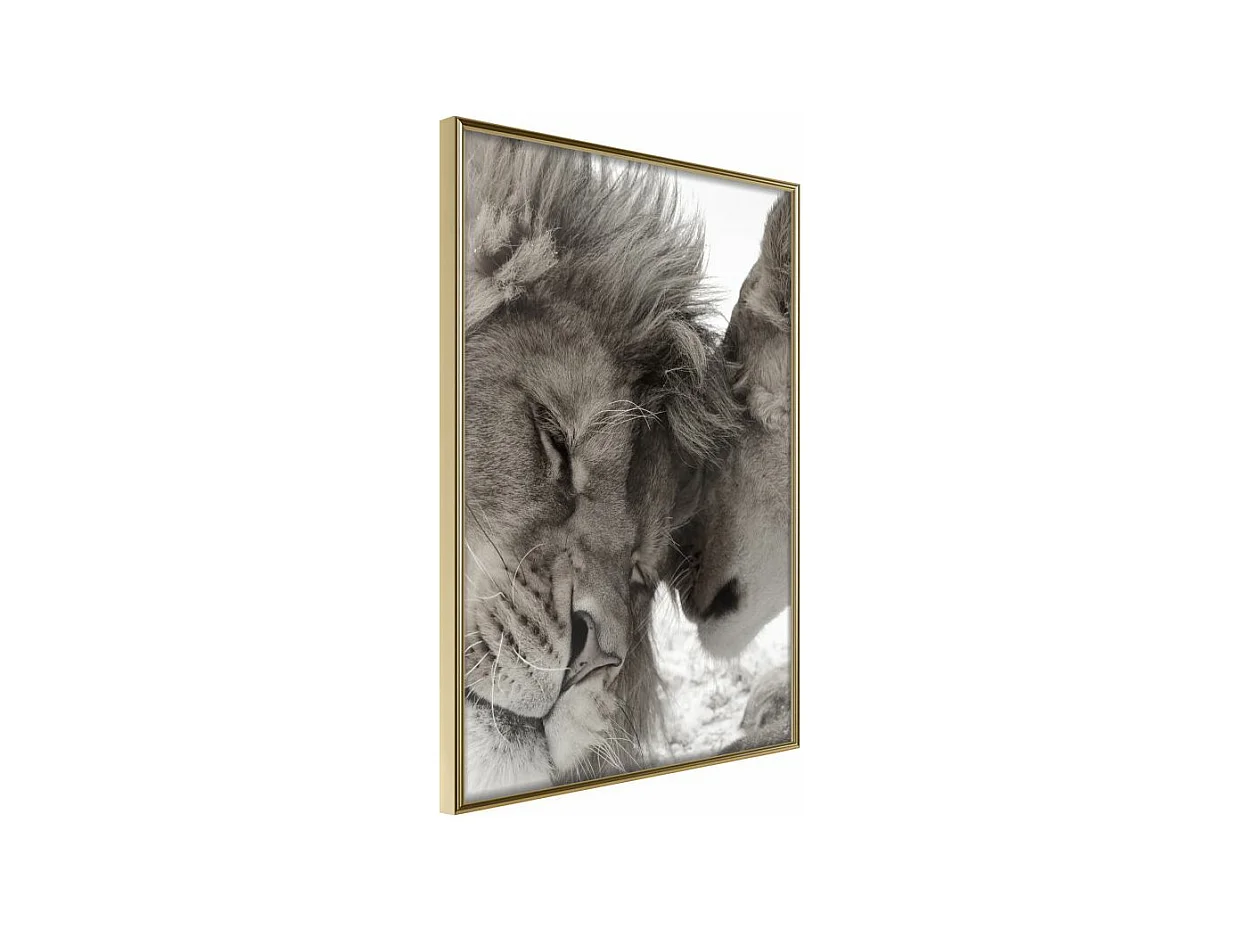 Affiche Murale Encadrée "Predatory Couple" 21 x 30 cm Or