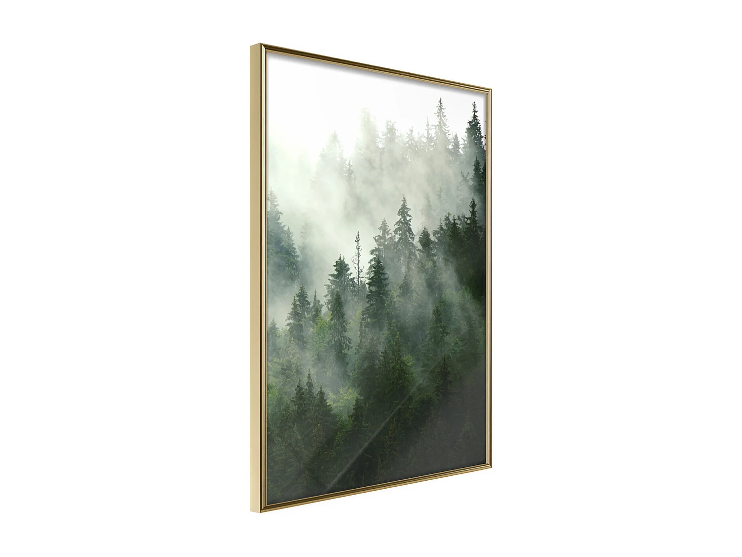 Affiche Murale Encadrée "Steaming Forest" 40 x 60 cm Or