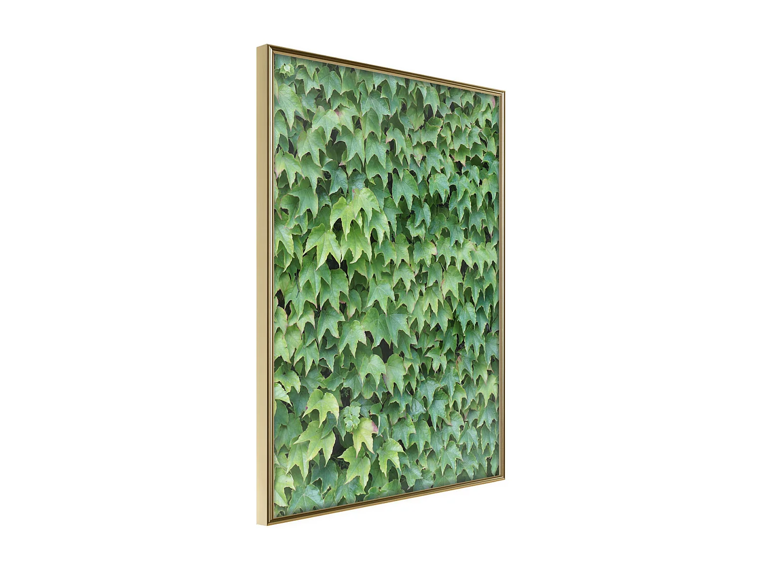 Affiche Murale Encadrée "Hidden" 40 x 60 cm Or