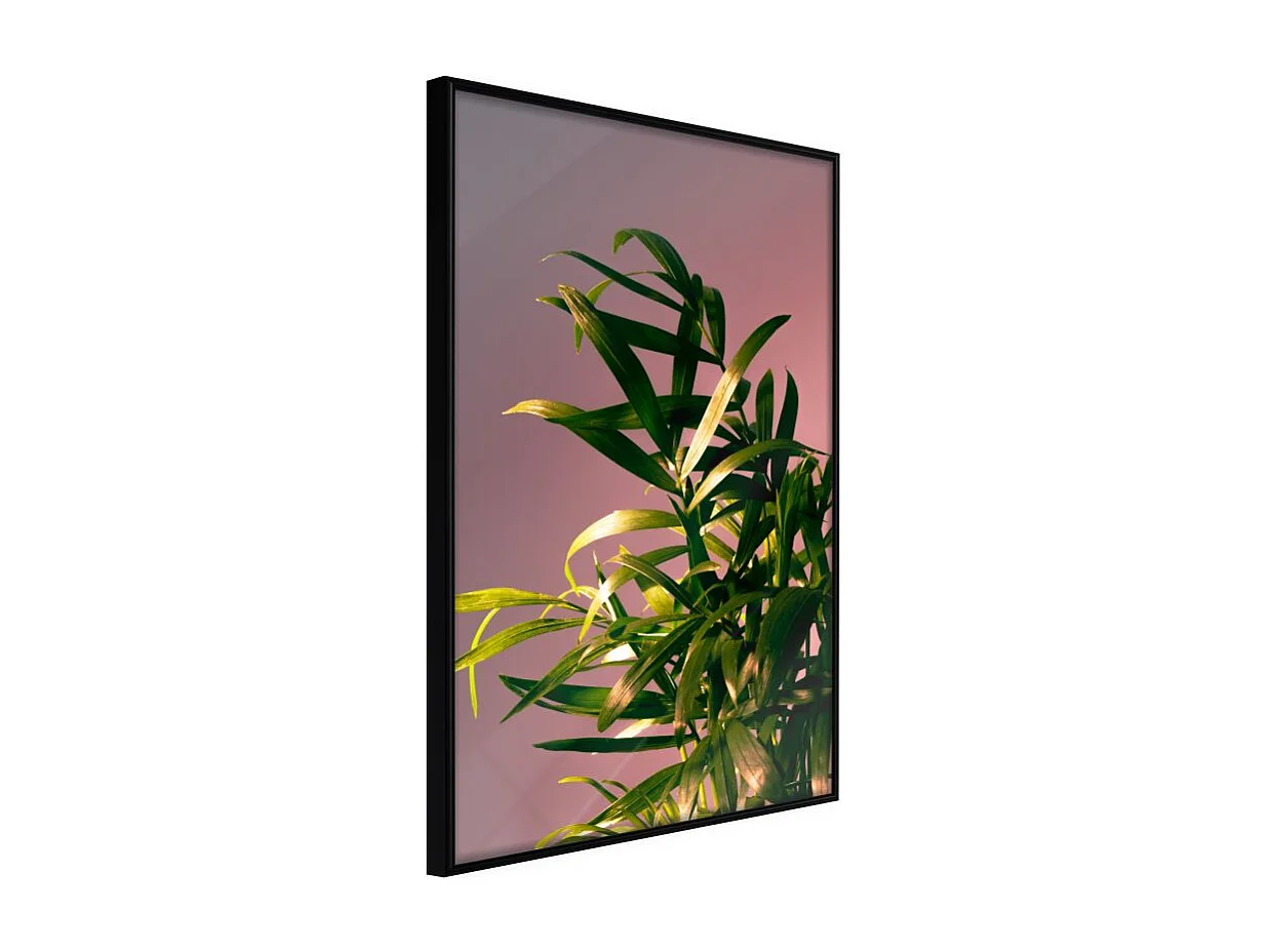 Affiche Murale Encadrée "Against the Sunset" 30 x 42 cm Noir