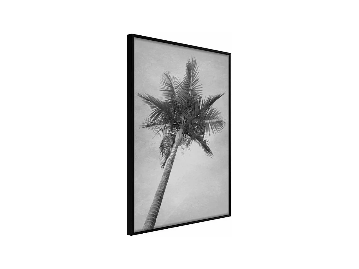 Affiche Murale Encadrée "Memories from the Paradise" 21 x 30 cm Noir