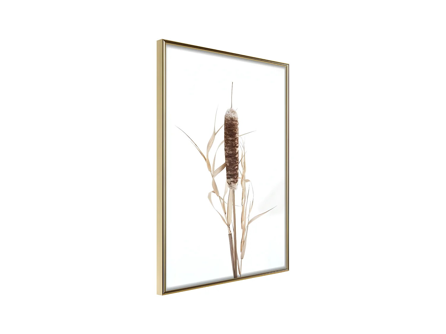 Affiche Murale Encadrée "Typha" 21 x 30 cm Or