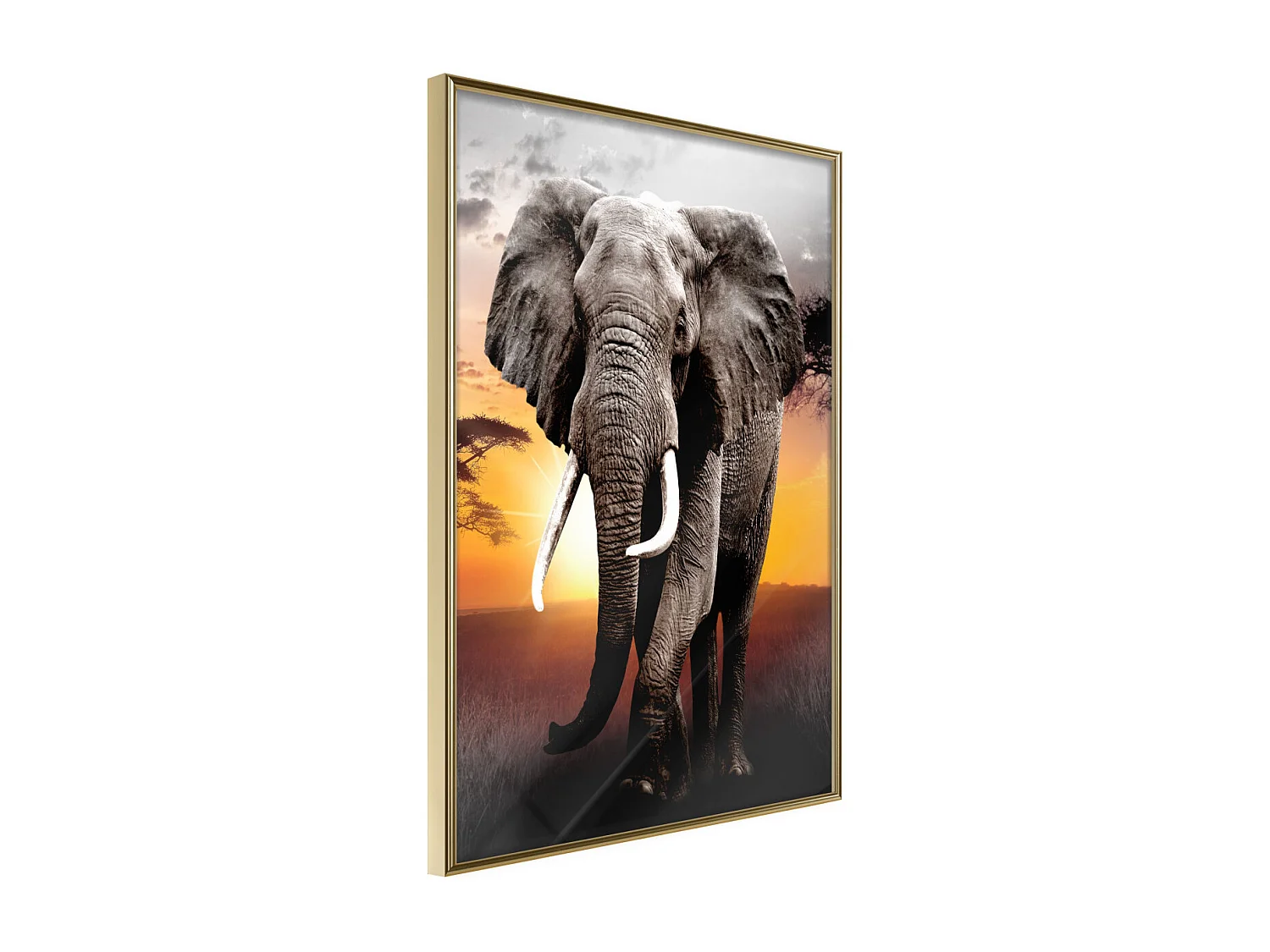 Affiche Murale Encadrée "Majestic Elephant" 40 x 60 cm Or