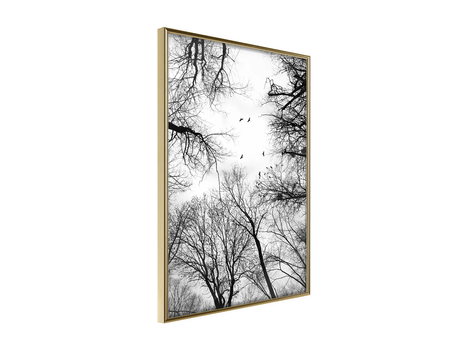 Affiche Murale Encadrée "Treetops" 21 x 30 cm Or