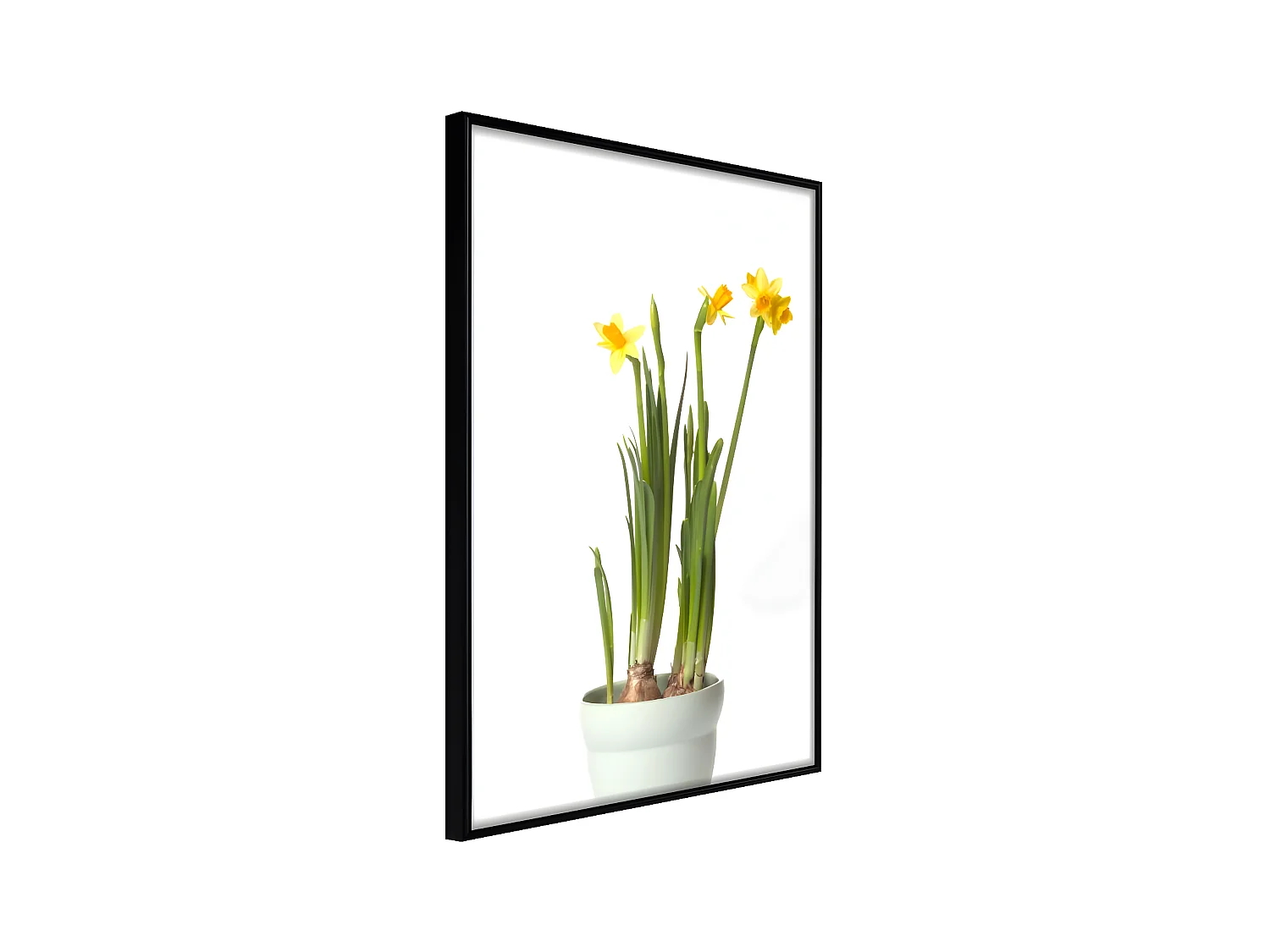 Affiche Murale Encadrée "Piece of Nature IV" 40 x 60 cm Noir