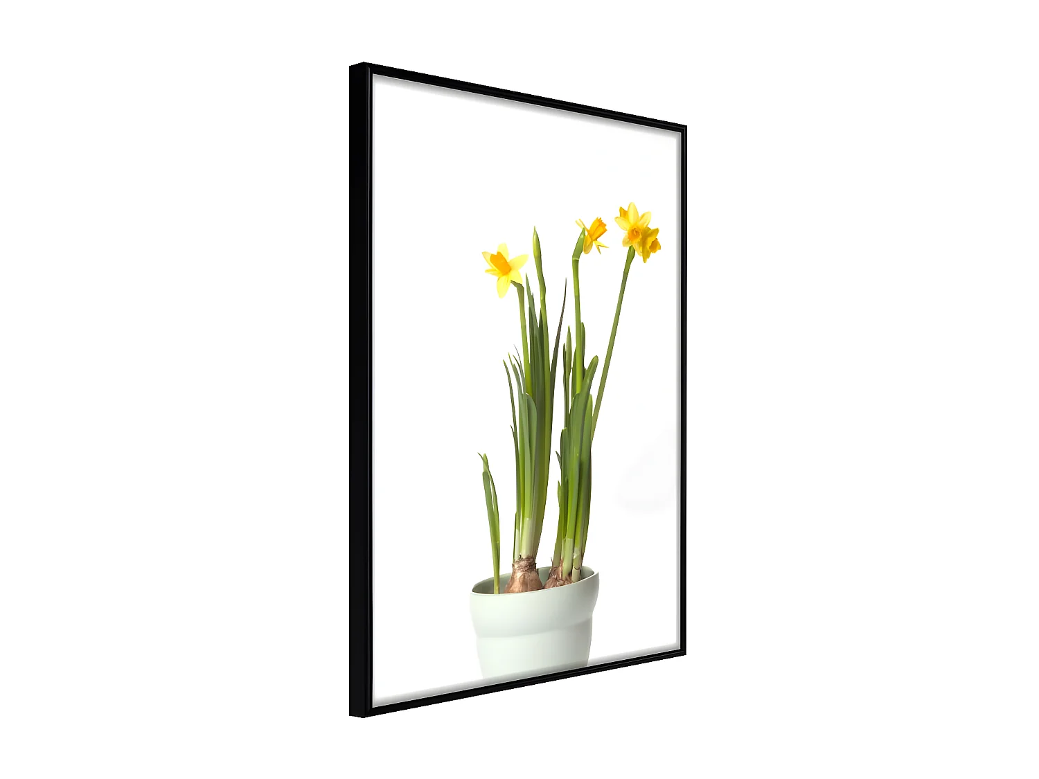 Affiche Murale Encadrée "Piece of Nature IV" 40 x 60 cm Noir