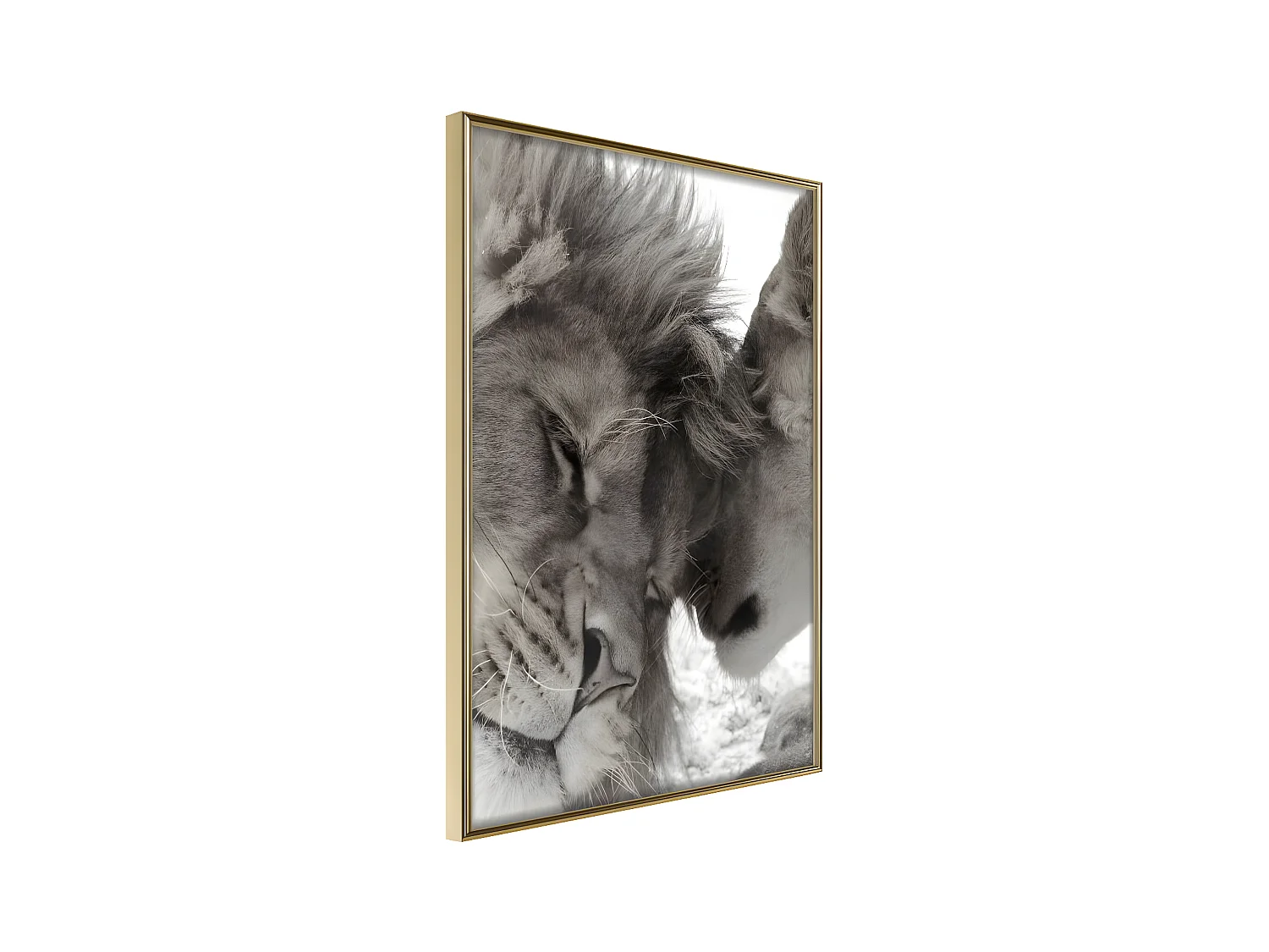 Affiche Murale Encadrée "Predatory Couple" 30 x 42 cm Or