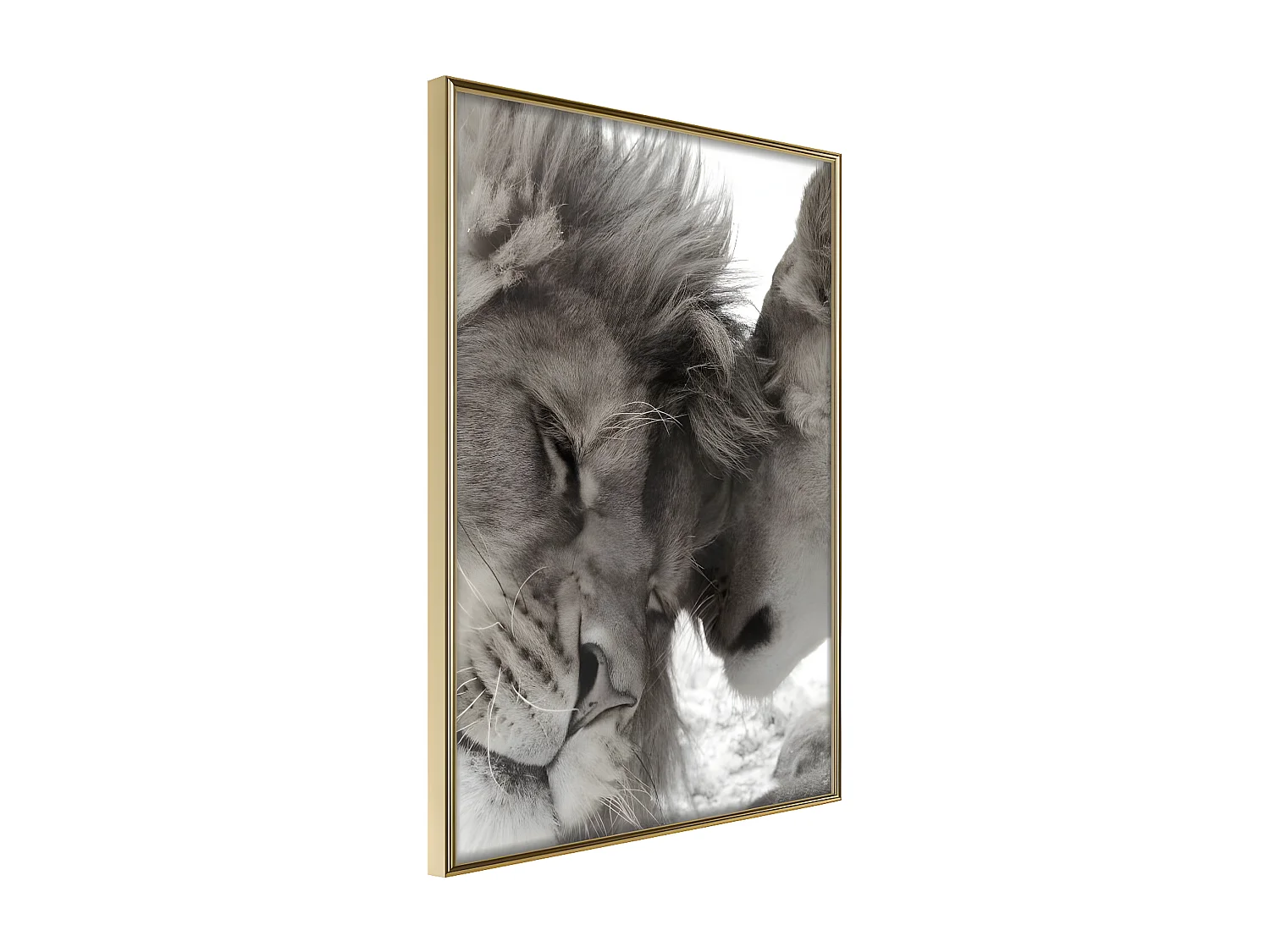 Affiche Murale Encadrée "Predatory Couple" 30 x 42 cm Or