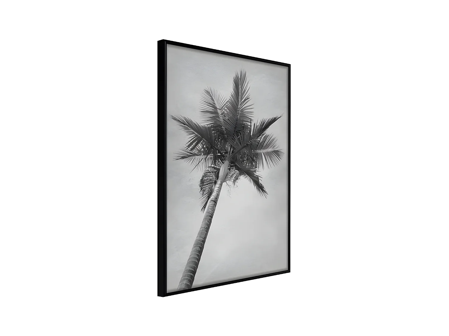 Affiche Murale Encadrée "Memories from the Paradise" 30 x 42 cm Noir