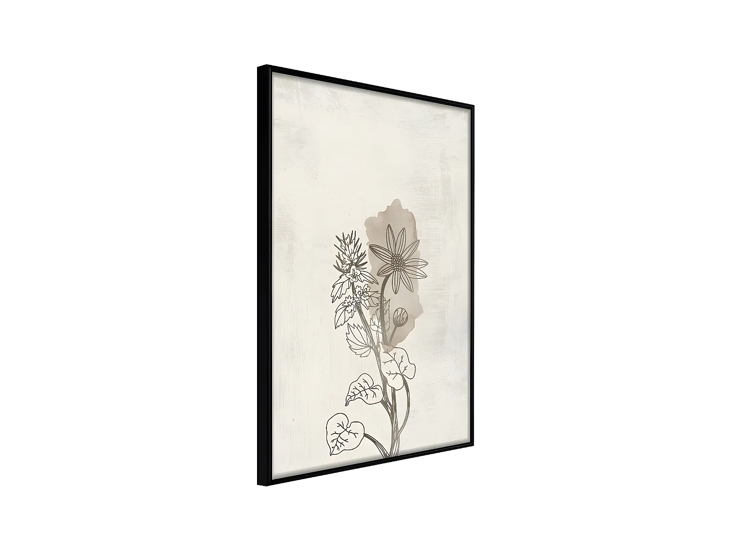 Affiche Murale Encadrée "Life of Plants" 30 x 42 cm Noir