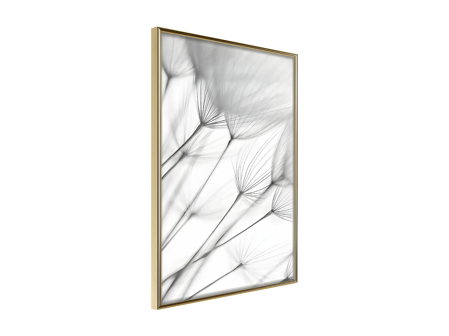 Affiche Murale Encadrée "Gentle Blow" 40 x 60 cm Or