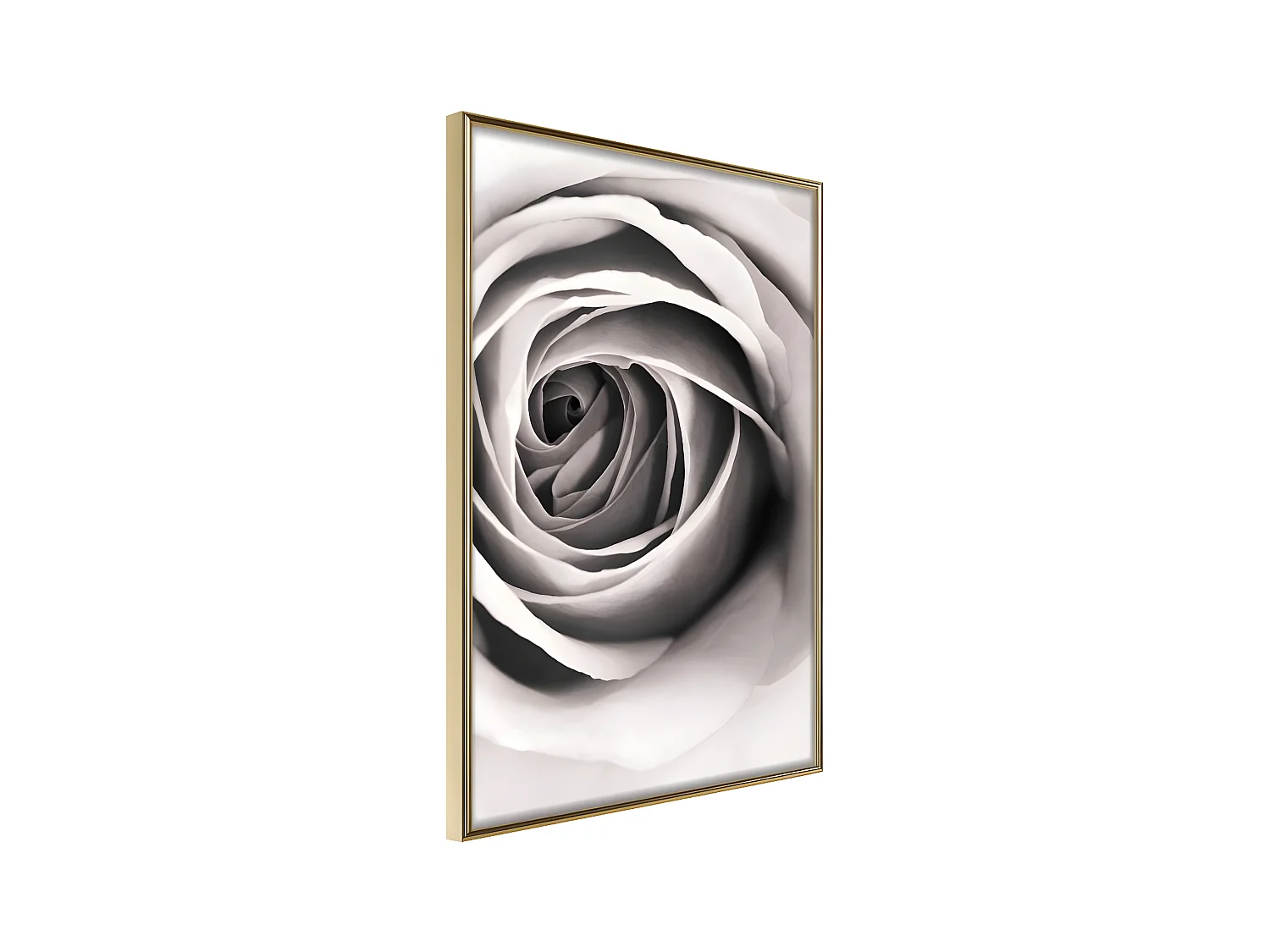 Affiche Murale Encadrée "Structure of Petals" 30 x 42 cm Or