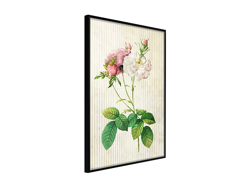 Affiche Murale Encadrée "Romance I" 21 x 30 cm Noir