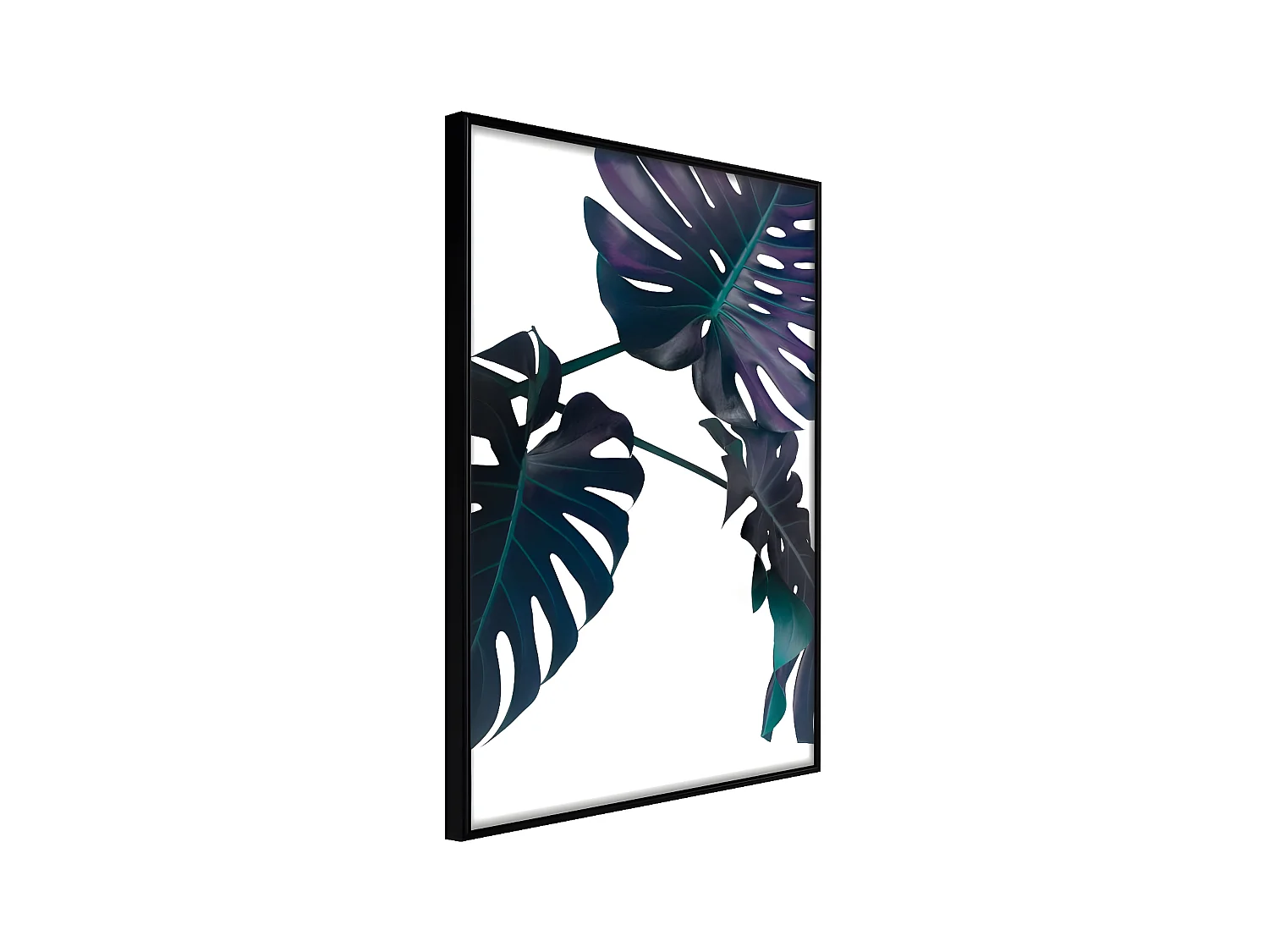 Affiche Murale Encadrée "Evergreen Monstera" 30 x 42 cm Noir