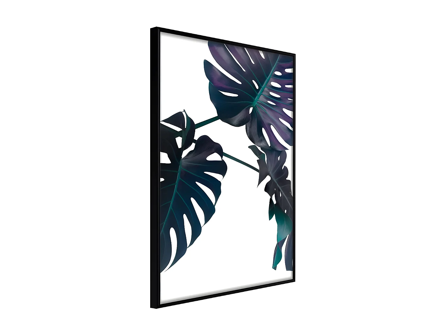 Affiche Murale Encadrée "Evergreen Monstera" 30 x 42 cm Noir