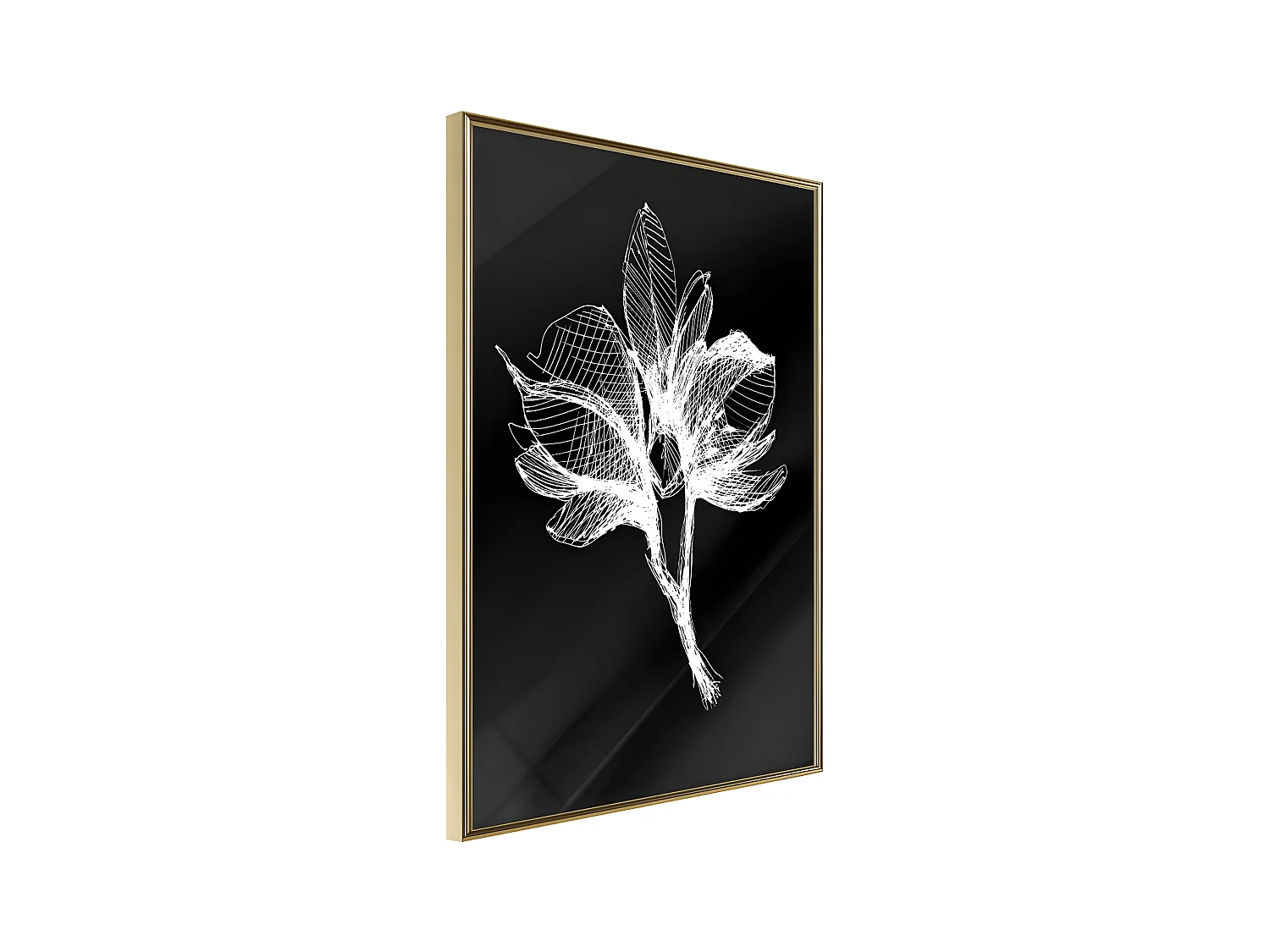 Affiche Murale Encadrée "White Plant" 30 x 42 cm Or