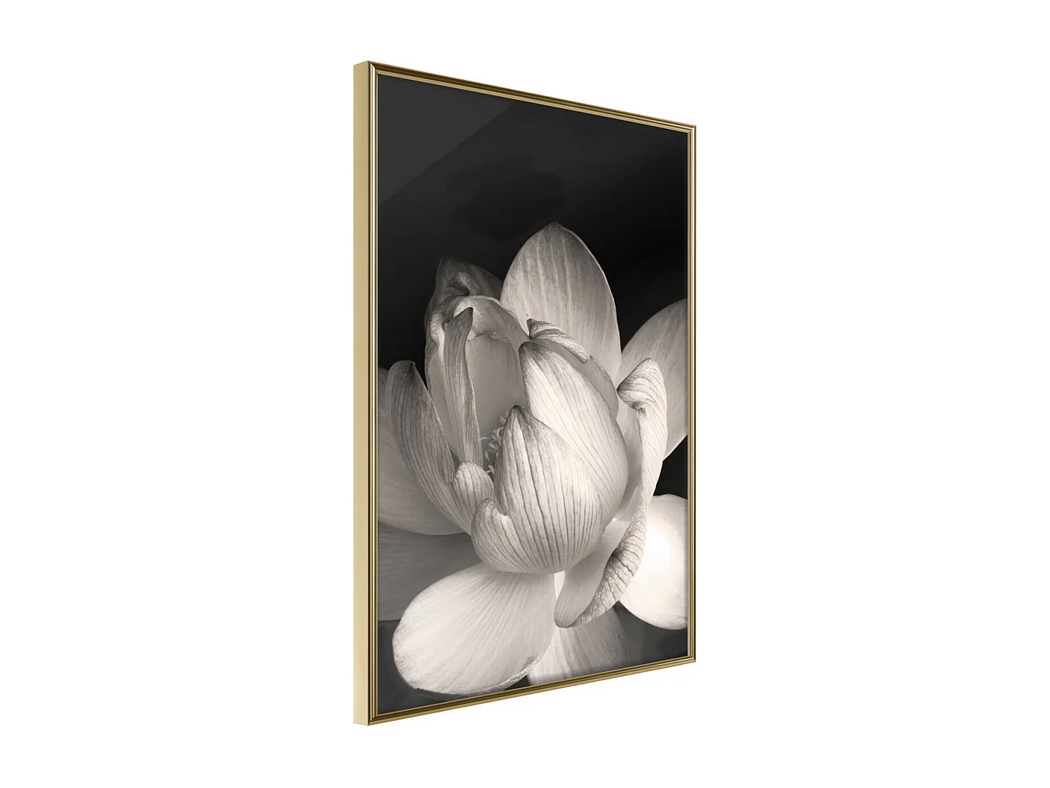 Affiche Murale Encadrée "Delicacy of a Flower" 30 x 42 cm Or