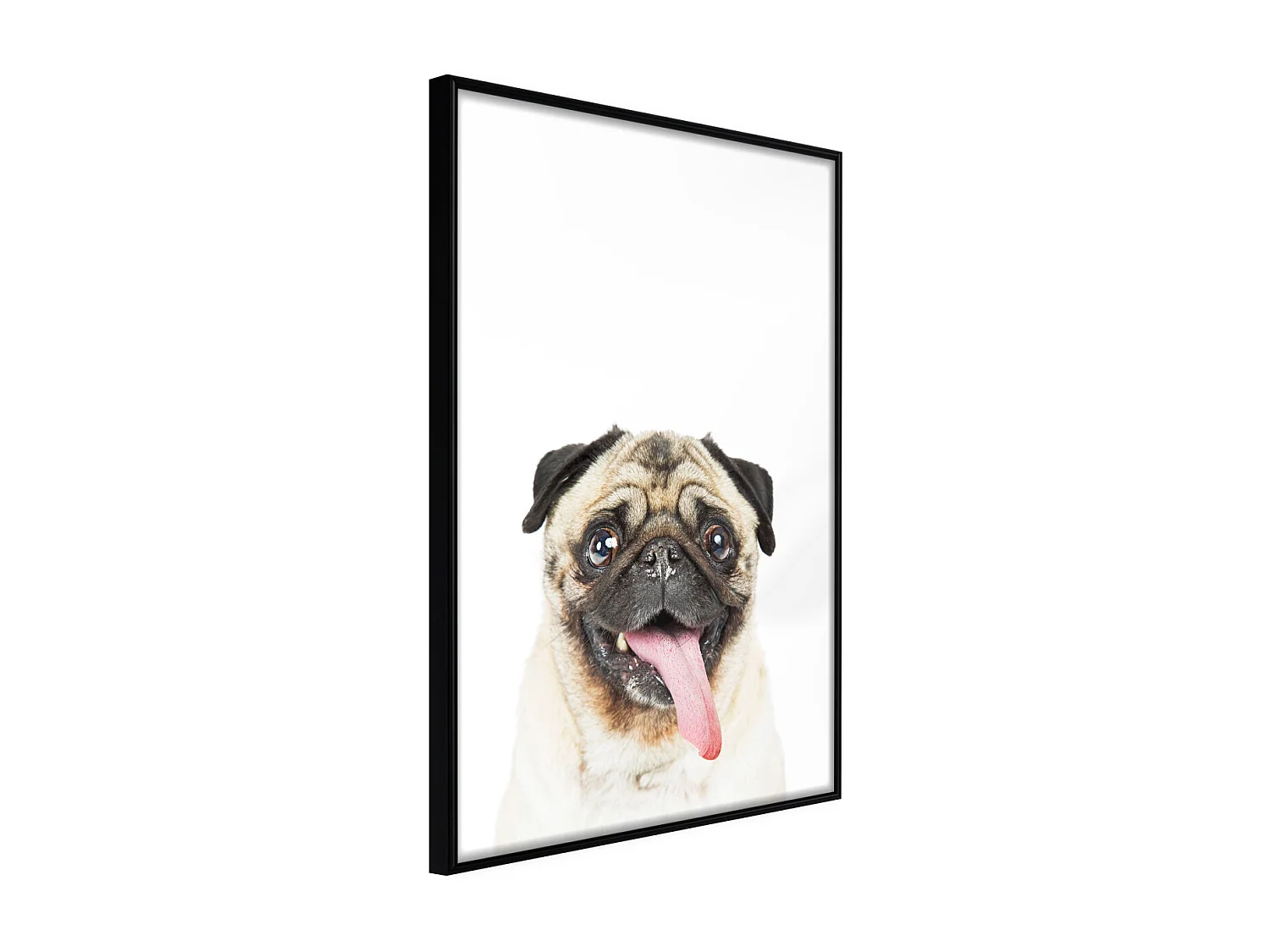 Affiche Murale Encadrée "Funny Pug" 30 x 42 cm Noir