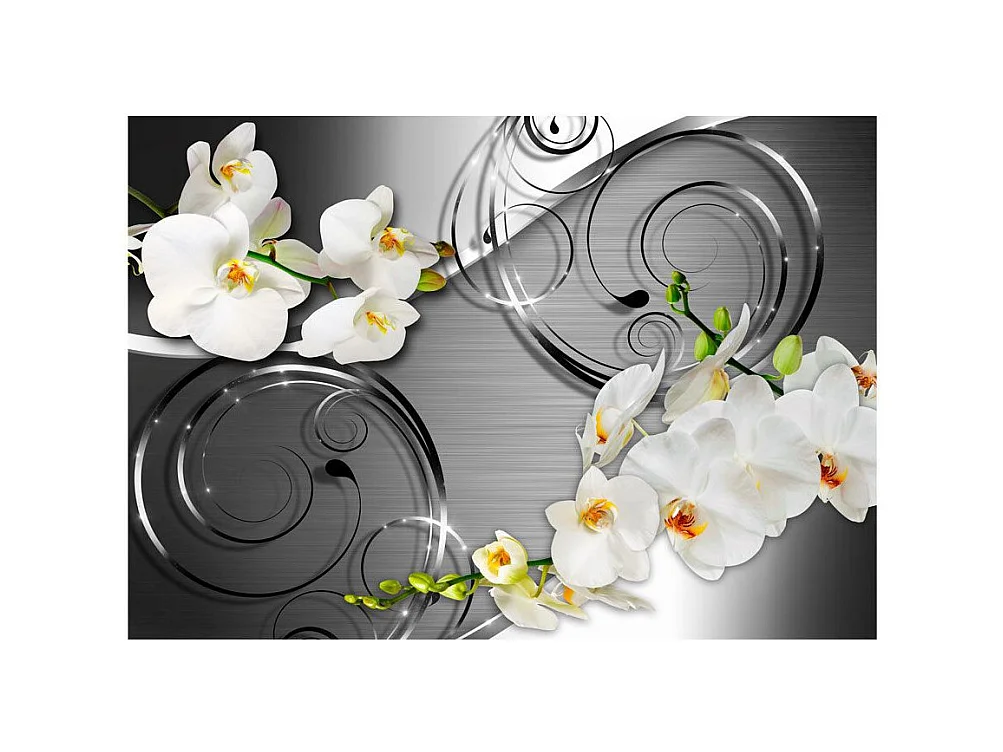 Papier Peint "Expectation" 70 x 100 cm