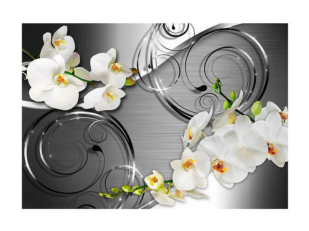 Papier Peint "Expectation" 70 x 100 cm