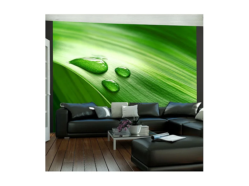Papier Peint "Feuille & Trois Gouttes d'Eau" 270 x 350 cm