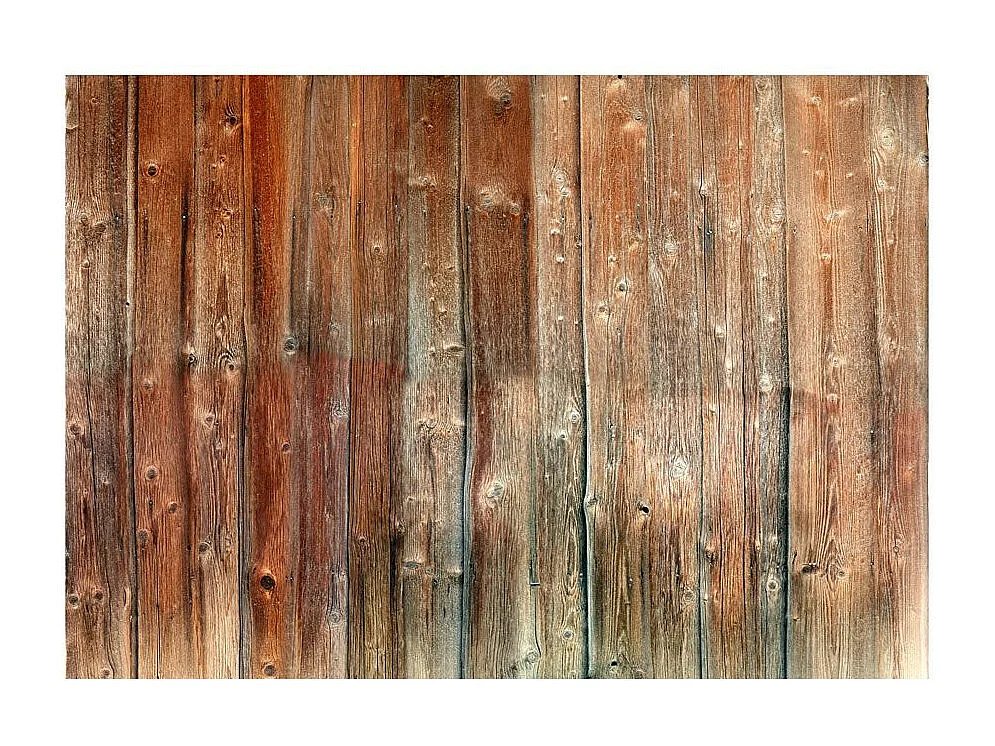 Papier Peint "Forest Cottage" 210 x 300 cm