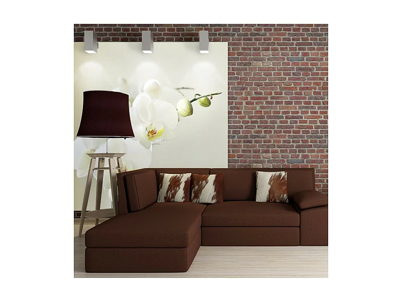 Papier Peint "Orchidée Blanche" 270 x 350 cm