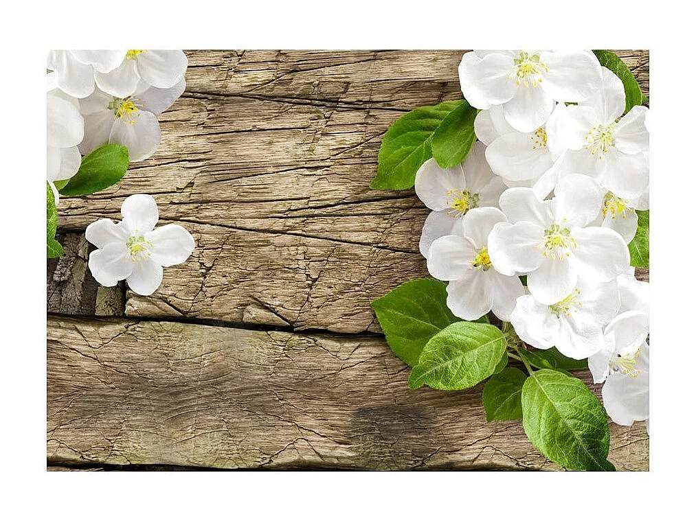 Papier Peint "Beauté Naturelle" 210 x 300 cm