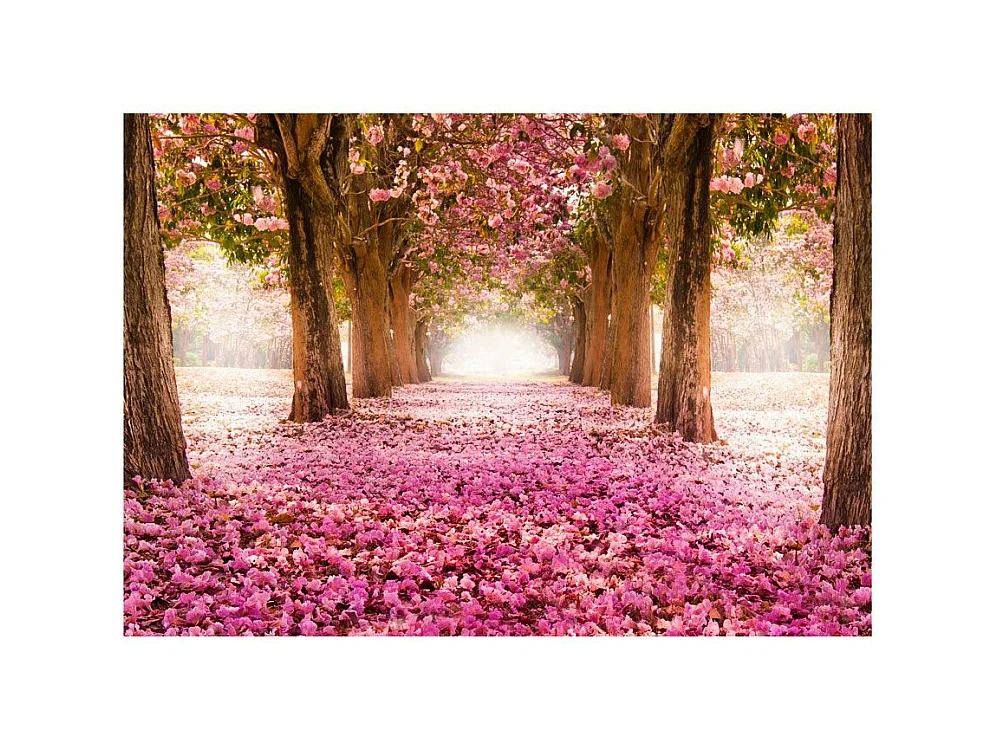 Papier Peint "Pink Grove" 70 x 100 cm