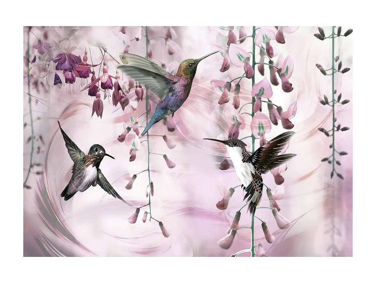 Papier Peint "Flying Hummingbirds Pink" 245 x 350 cm