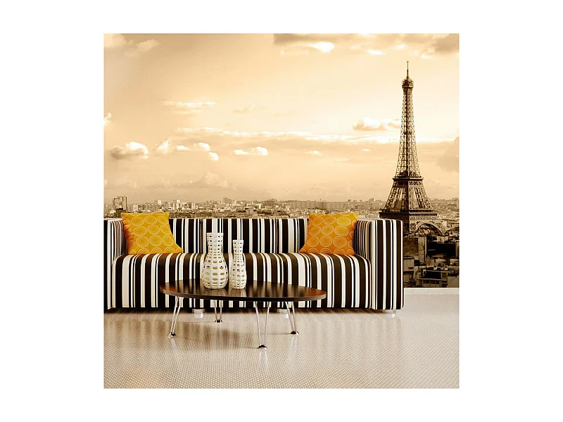 Papier Peint "Paris Panorama" 193 x 250 cm