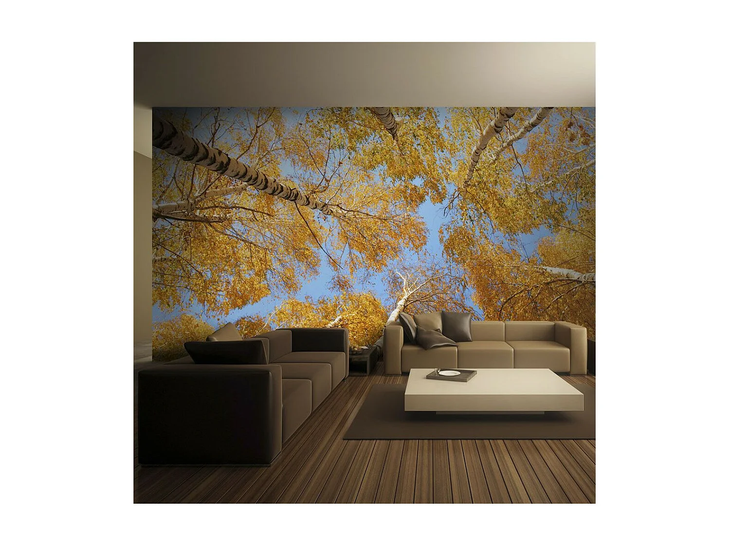 Papier Peint "Arbres D'automne" 193 x 250 cm