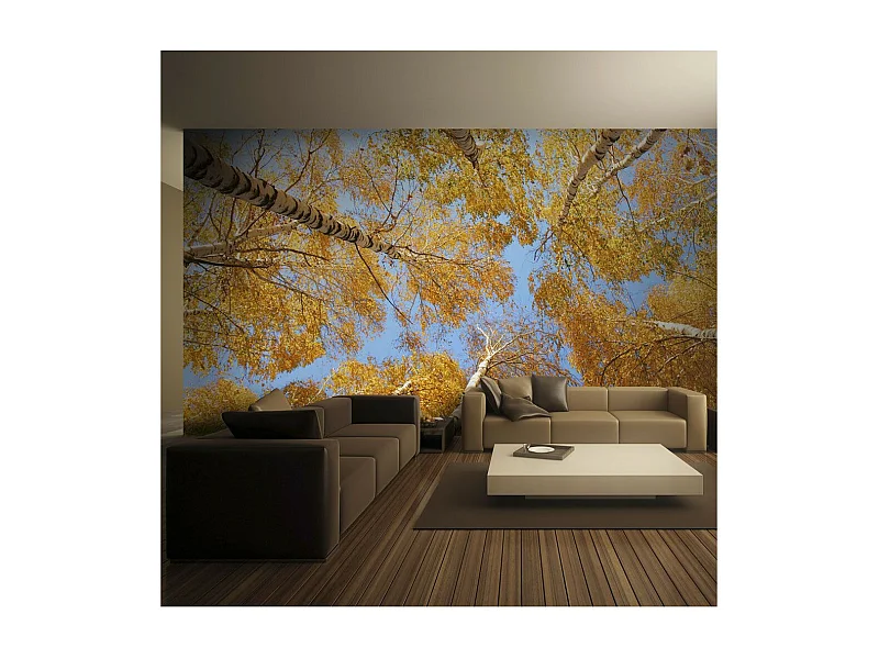 Papier Peint "Arbres D'automne" 193 x 250 cm