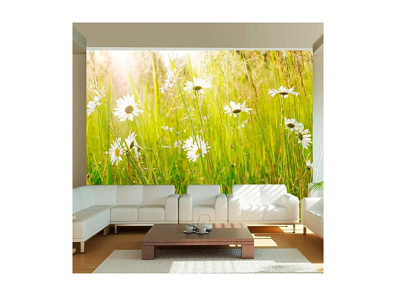 Papier Peint "Champ de Marguerites" 231 x 300 cm